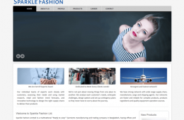 Best Garments Buying House Website Design and Development Project by Revelation BD in Bangladesh for Sparkle Fashion Ltd
