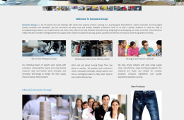 Dynamic Home Page Design - Professional Web Design and Development Project by Revelation BD for EUROZONE GROUP