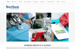 Home Page Design - Professional Web Design and Development Project by Revelation BD for NORBAN Group