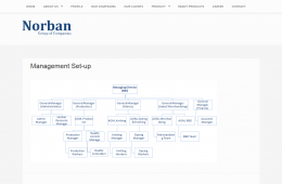 Profile Page Design - Professional Web Design and Development Project by Revelation BD for NORBAN Group